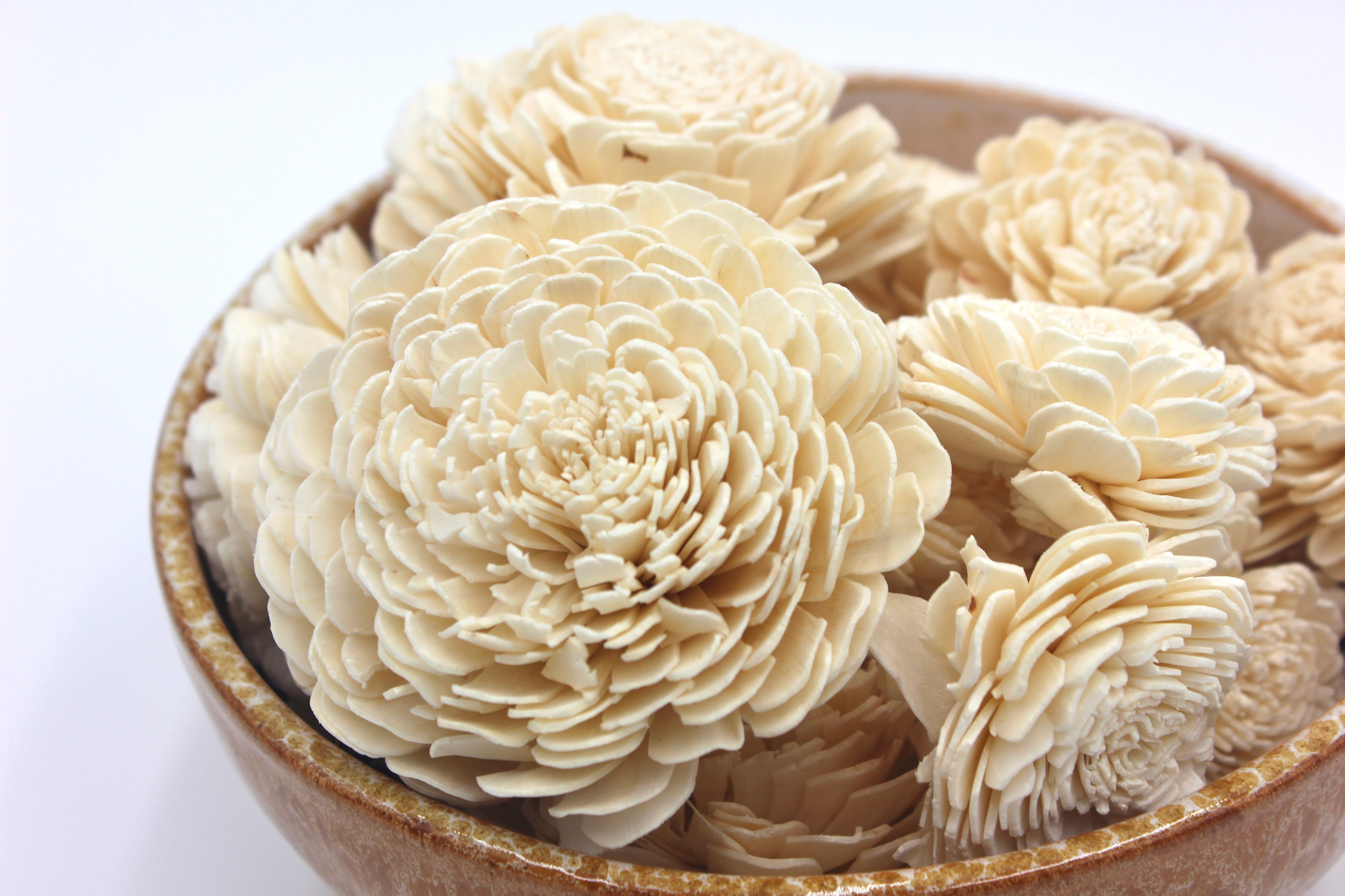 Paper Flowers