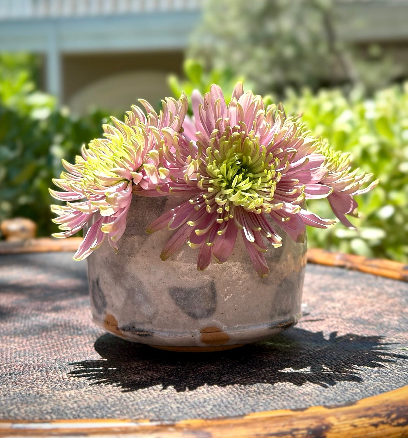 Winnie Bowl